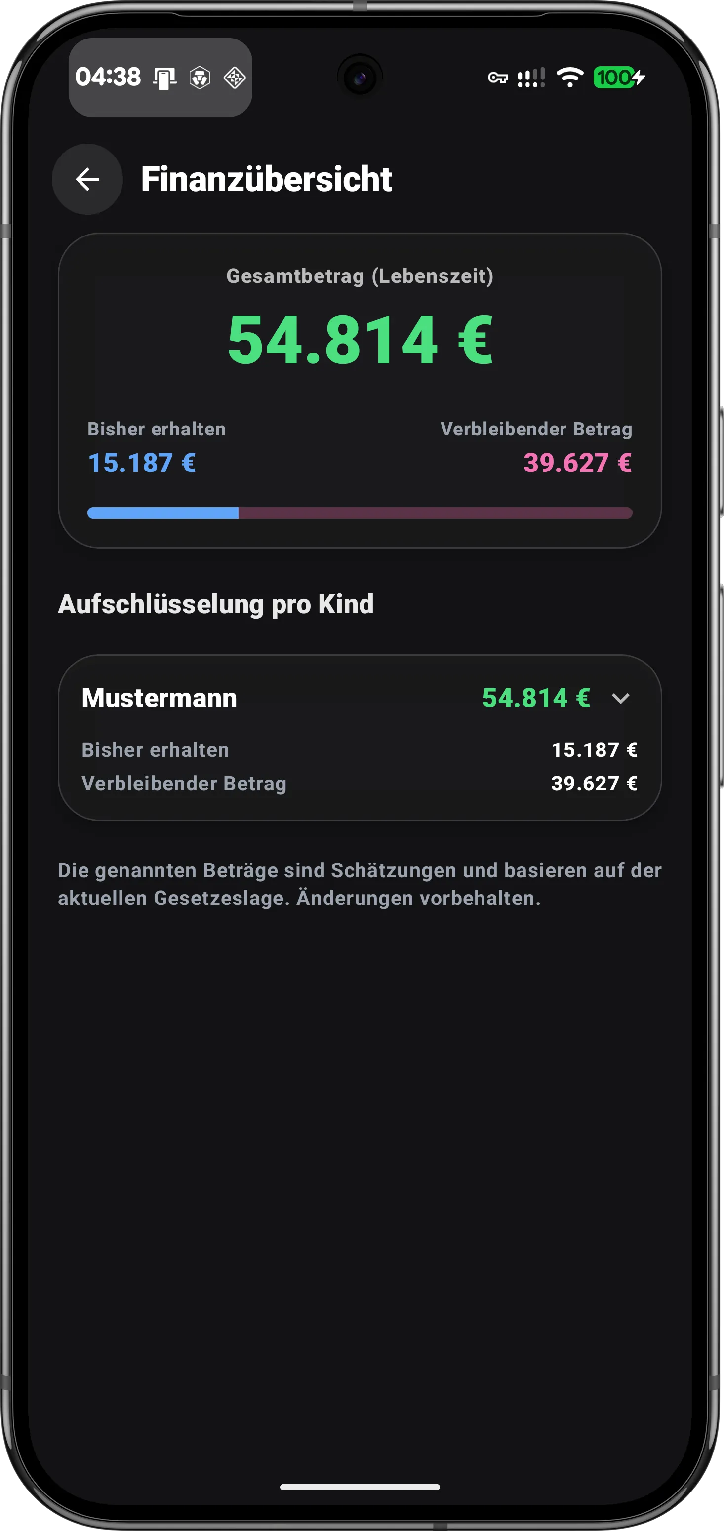 Finanzübersicht der Kindergeld Zahlungen: Gesamtsumme und verbleibender Betrag